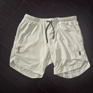 ASRV 6" Liner Shorts, L